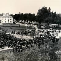 Veduta della manifestazione nei campi di Portogruaro