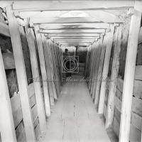 Interno della trincea